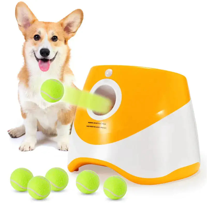 Automatic Fetch Machine